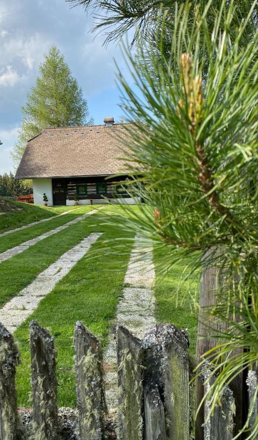 Villa Ferienhaus Waldtraum Sankt Veit an der Glan Exterior foto