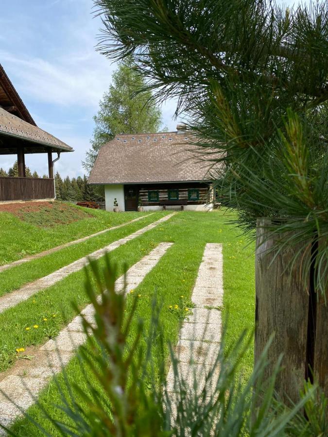 Villa Ferienhaus Waldtraum Sankt Veit an der Glan Exterior foto